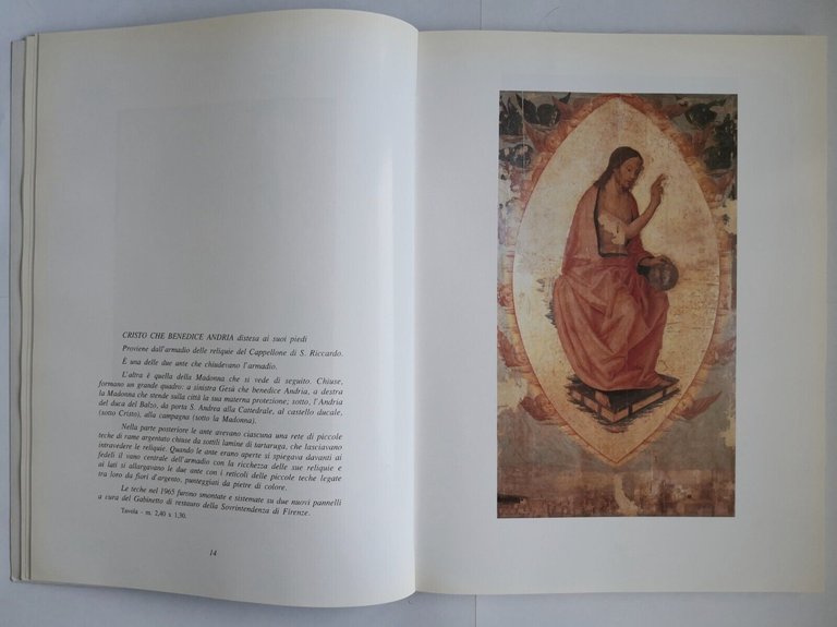 HO RACCOLTO PER VOI di Giuseppe Lanave 1994 Libro Andria …