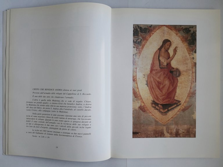 HO RACCOLTO PER VOI di Giuseppe Lanave 1994 Libro Andria …
