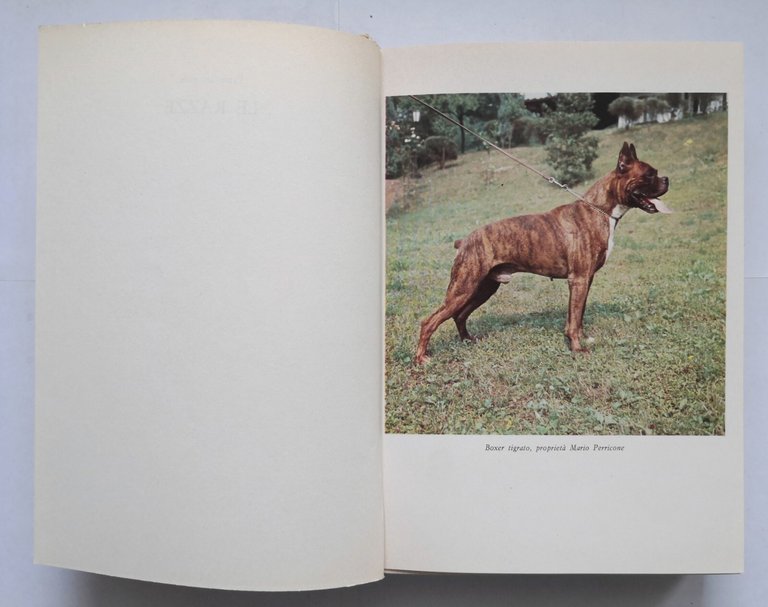 I CANI DA GUARDIA E DA DIFESA di Fritz Humel …
