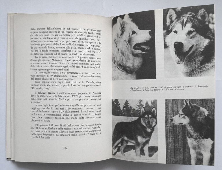 I CANI DA GUARDIA E DA DIFESA di Fritz Humel …