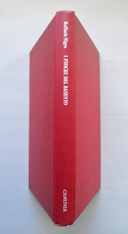 I FUOCHI DEL BASENTO di Raffaele Nigro 1987 Camunia romanzo …