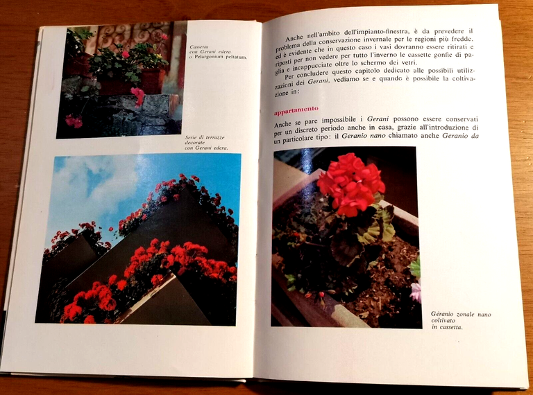 I GERANI di Gigliola Magrini 1964 Edizioni Agricole libro sui …