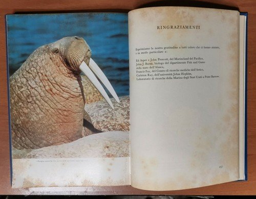I NOSTRI AMICI DEL MARE di Jacques Cousteau Philippe Diolé …