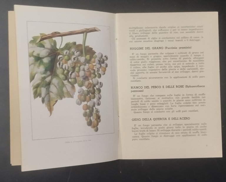 I PARASSITI DELLE PIANTE PRODOTTI ANTIPARASSITARI MONTECATINI libretto illustat