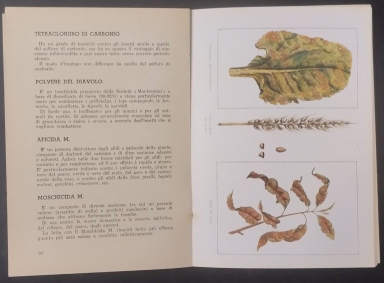 I PARASSITI DELLE PIANTE PRODOTTI ANTIPARASSITARI MONTECATINI libretto illustat