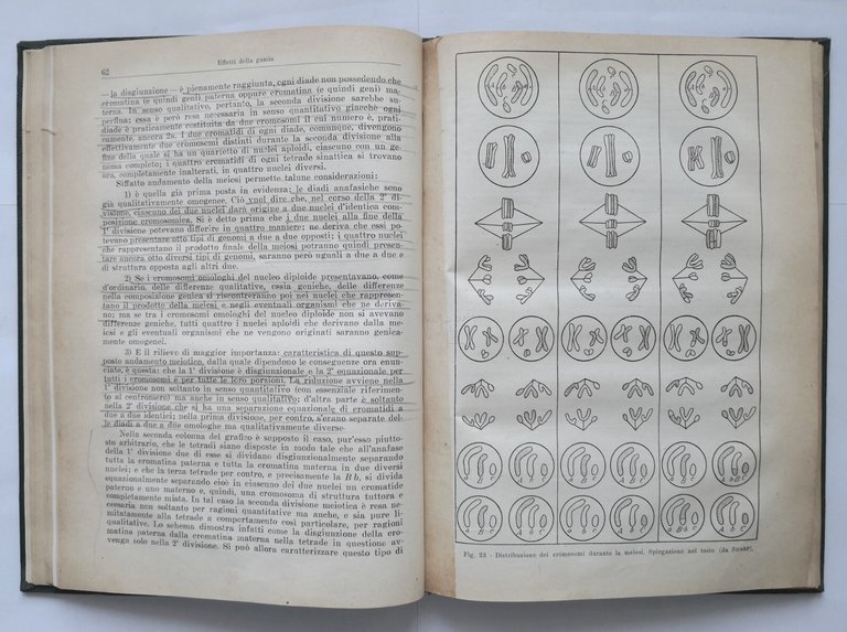 I PRINCIPI GENERALI DELLA SISTEMATICA di Sergio Tonzig 1949 Libro …