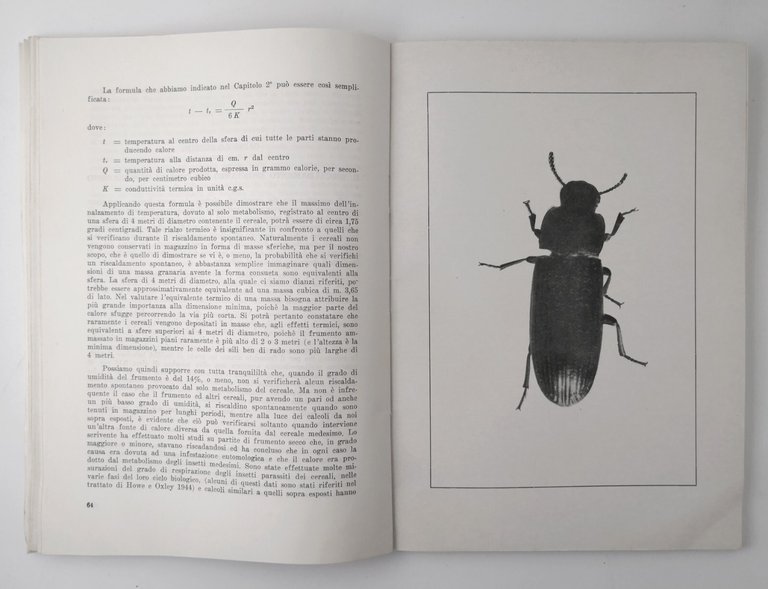 I PRINCIPII SCIENTIFICI DELLA CONSERVAZIONE IN MAGAZZINO DI GRANI E …