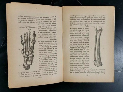 I SERVITORI DELLO STOMACO di G Macè 1930 La Nuova …