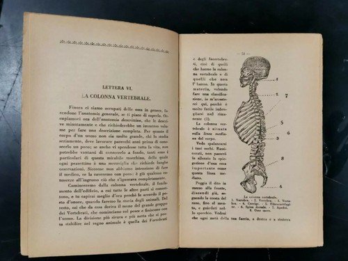 I SERVITORI DELLO STOMACO di G Macè 1930 La Nuova …