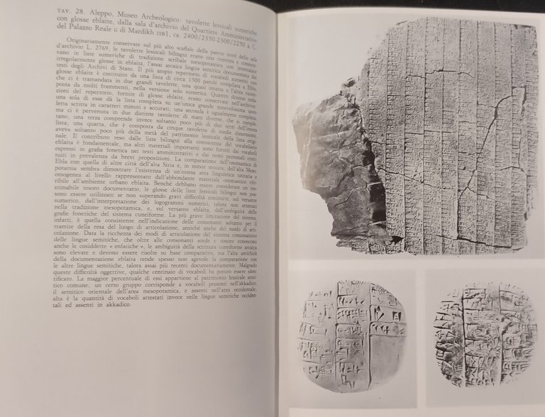 I TESORI DI EBLA di Paolo Matthiae 1985 Laterza Libro …