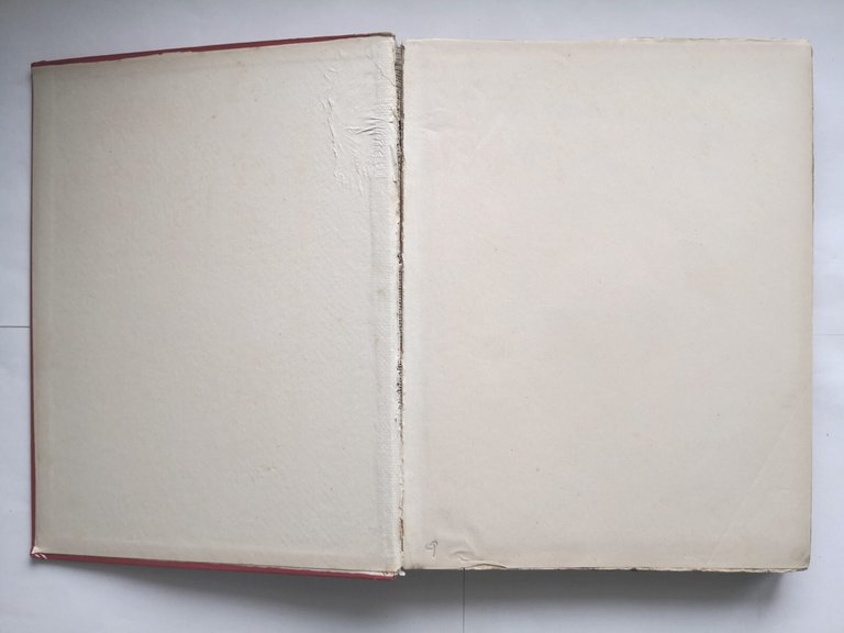 I TRE MOSCHETTIERI di Alessandro Dumas libro illustrato da Maraja …