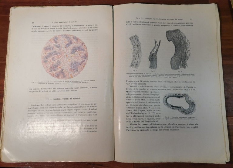 I VELENI QUALI FATTORI DI MALATTIA Cevidalli 1923 Utet libro …