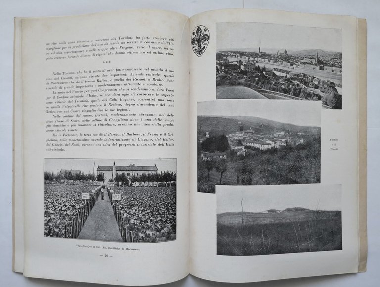 III CONGRESSO INTERNAZIONALE DELLA VITE E DEL VINO Roma ottobre …