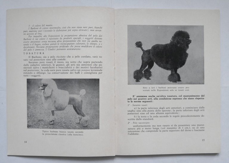 IL BARBONE standard allevamento educazione di Antonio Sabbadini 1967 Encia …