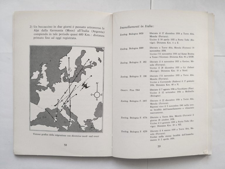 IL BECCACCINO di Adelio Ponce De Leon 1961 Olimpia libro …