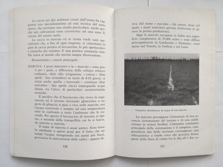 IL BECCACCINO di Adelio Ponce De Leon 1961 Olimpia libro …