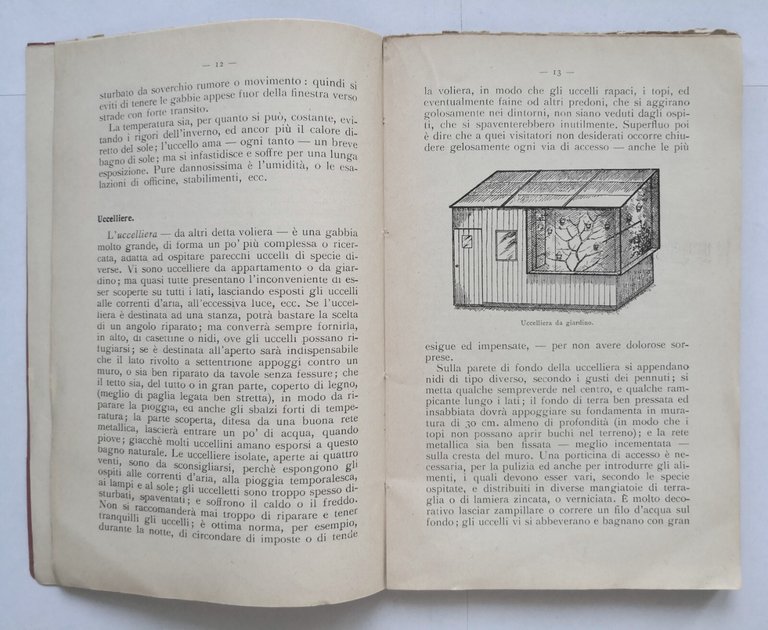 IL CANARINO di Paola 1934 Antonio Vallardi libro comuni uccelli …