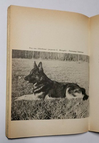 IL CANE DA PASTORE TEDESCO di Fiorenzo Fiorone 1976 libro …