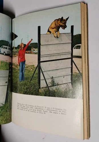 IL CANE DA PASTORE TEDESCO di Fiorenzo Fiorone 1976 libro … | Immagine Gallery 3