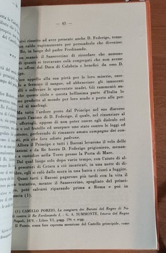 IL CASTELLO PRINCIPALE O LA TORRE MAGGIORE DI SALERNO Matteo …