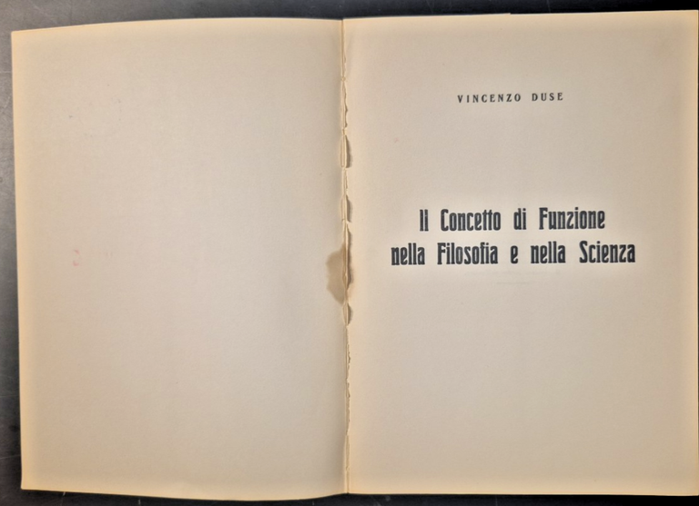 IL CONCETTO DI FUNZIONE NELLA FILOSOFIA E NELLA SCIENZA Vincenzo …