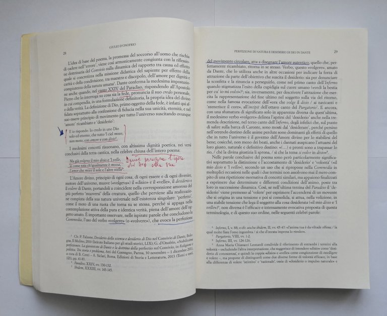 IL DESIDERIO NEL MEDIOEVO di Alessandro Palazzo 2014 edizioni storia …