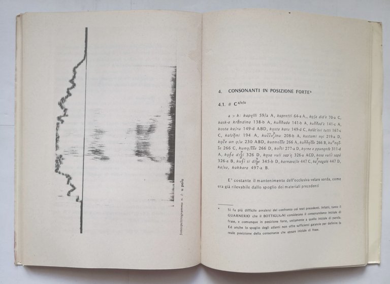 IL DIALETTO DI BASTIA Melillo 2 volumi 1973 Patron libro …