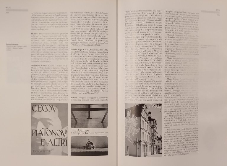 IL DIZIONARIO DEL GRAFICO di Giorgio Fioravanti 1997 Zanichelli Libro …