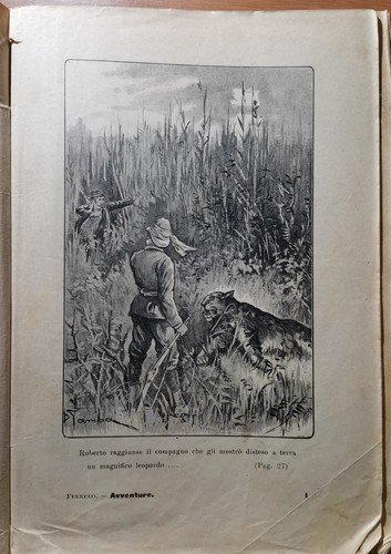 IL FIORE DEL DESERTO di Alfredo Ferrero 1907 Libro Avventure …