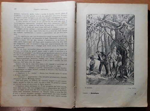 IL FIORE DEL DESERTO di Alfredo Ferrero 1907 Libro Avventure …
