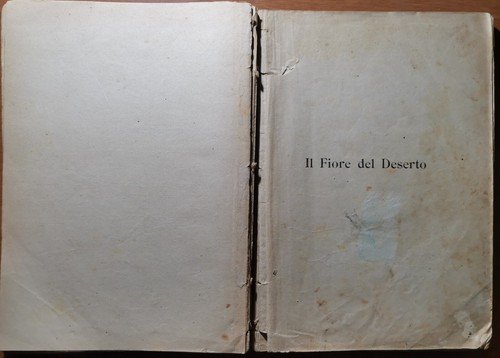 IL FIORE DEL DESERTO di Alfredo Ferrero 1907 Libro Avventure …