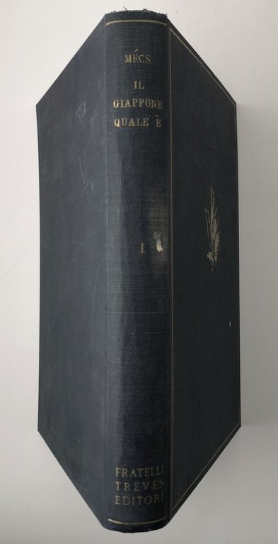 IL GIAPPONE QUALE È di Aloisio Mecs 2 volumi 1938 …