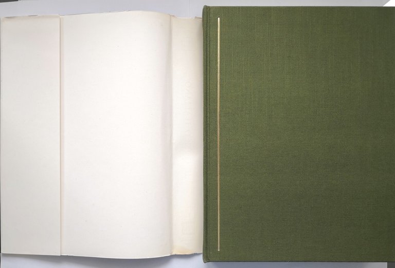 IL GOTICO ITALIANO I Grandi Cicli Decorativi 1965 Skira Fabbri …