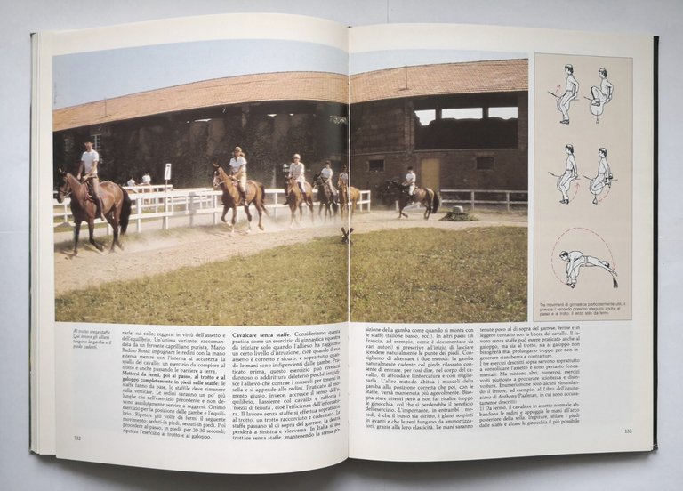 IL GRANDE LIBRO DEL CAVALLO di Luciano De Maria 1991 …