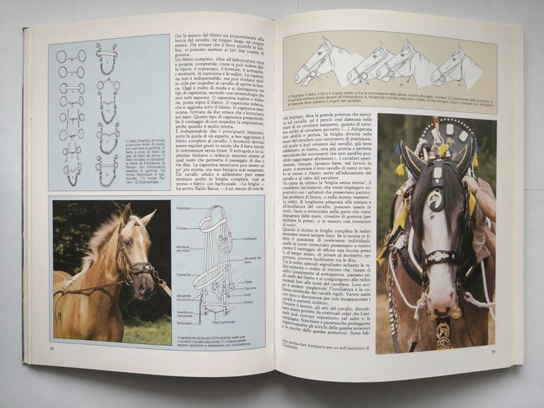 IL GRANDE LIBRO DEL CAVALLO di Luciano De Maria 1991 …