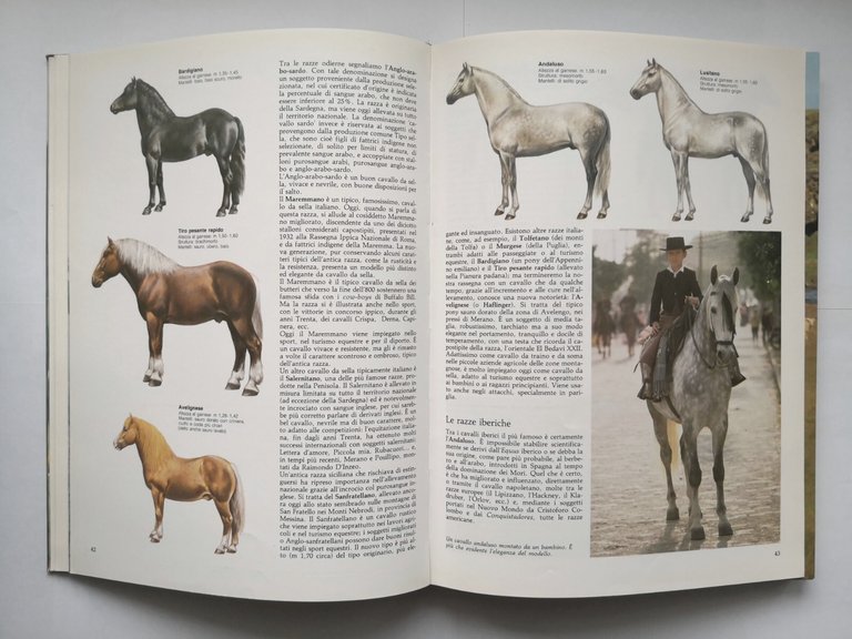 IL GRANDE LIBRO DEL CAVALLO di Luciano De Maria 1991 …