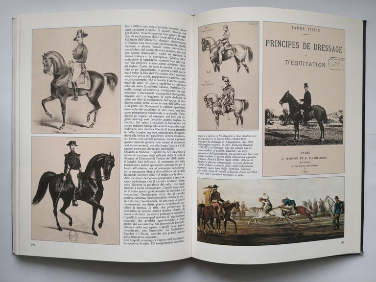 IL GRANDE LIBRO DEL CAVALLO di Luciano De Maria 1991 …