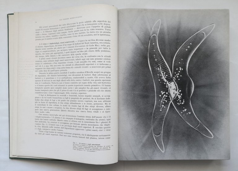 IL GRANDE LIBRO DELLA NATURA di Fritz Kahn 2 volumi …