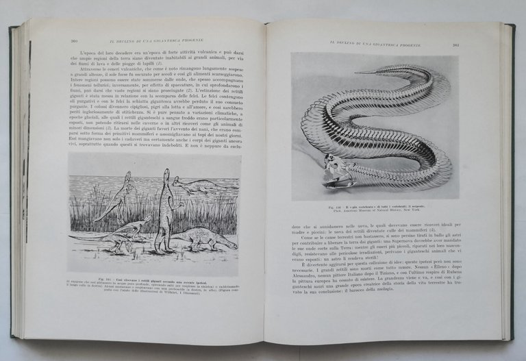 IL GRANDE LIBRO DELLA NATURA di Fritz Kahn 2 volumi …