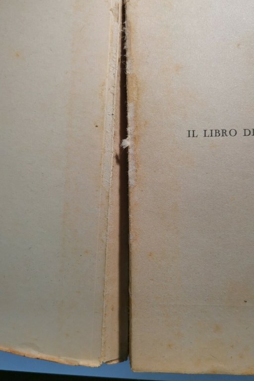 IL LIBRO DEI BEI RACCONTI di Ottavia Bonafin 1942 La …