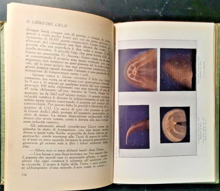 IL LIBRO DEL CIELO di Padovan illustrato biblioteca dei ragazzi …