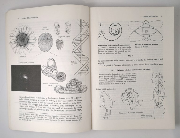 IL LIBRO DELLA MACROBIOTICA di Michio Kushi 1986 Edizioni Mediterranee …