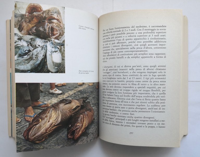 IL LIBRO DELLA PESCA IN MARE di Renzo Portalupi 1984 …