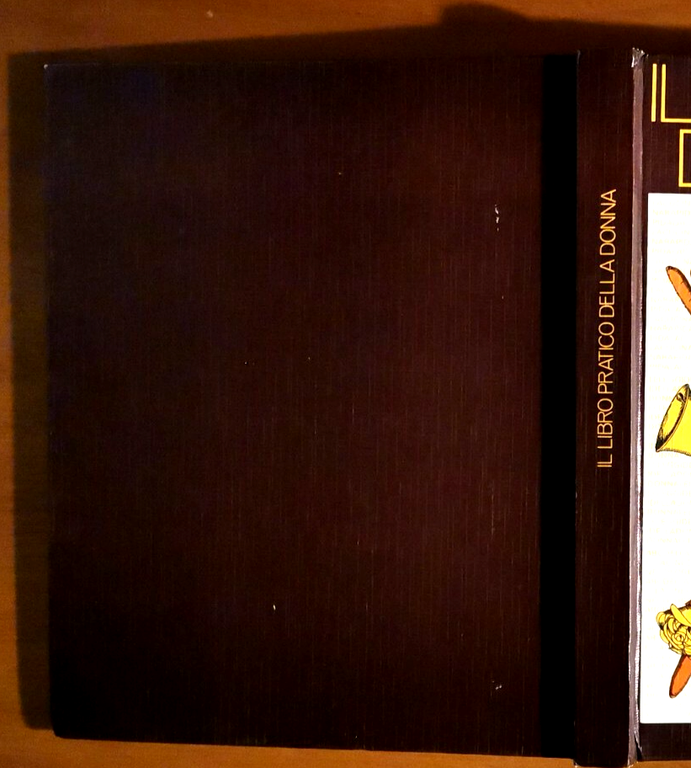 IL LIBRO PRATICO DELLA DONNA 1976 Rizzoli Libro Consigli Casa … | Immagine Gallery 4