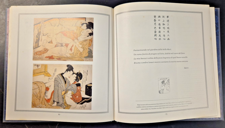 IL LIBRO SUL CUSCINO l'erotismo nell'antico oriente 1989 Libro Kamasutra …