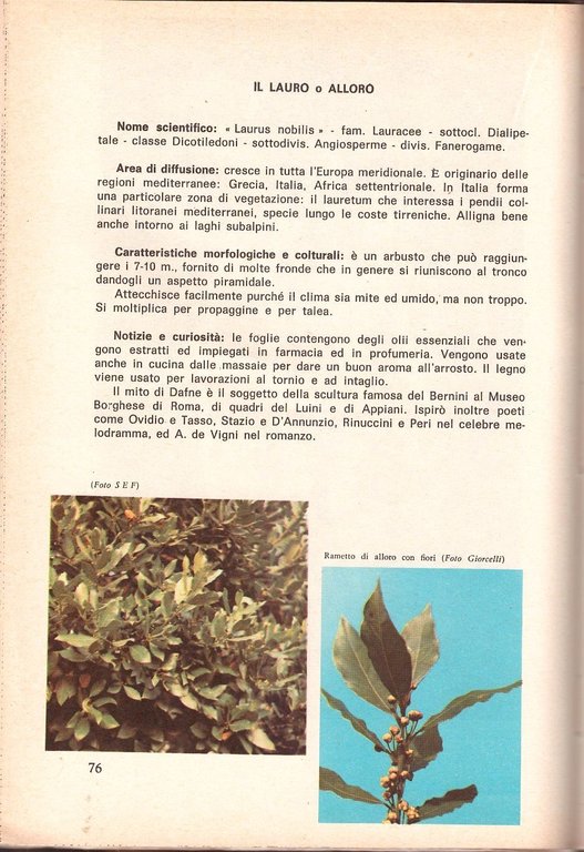 IL MIO AMORE PER LE PIANTE di A G Lombardi …