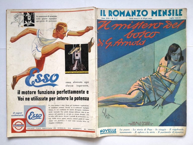 IL MISTERO DEL BOSCO di G Arnold Il romanzo mensile …