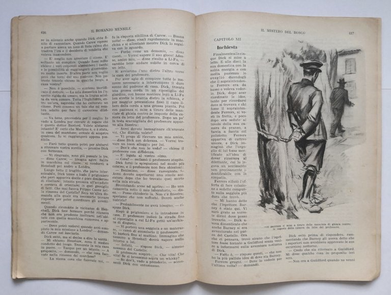 IL MISTERO DEL BOSCO di G Arnold Il romanzo mensile …