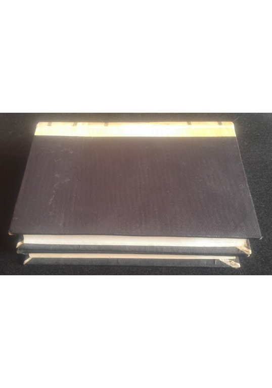 IL MONDO CRIMINALE ITALIANO 2 volumi Bianchi Ferrero Sighele 1893 … | Immagine Gallery 3