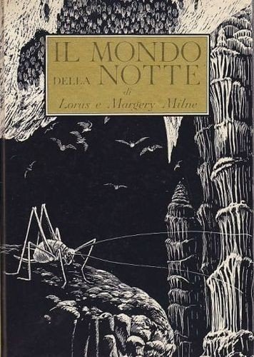 IL MONDO DELLA NOTTE di L e M Milne - …